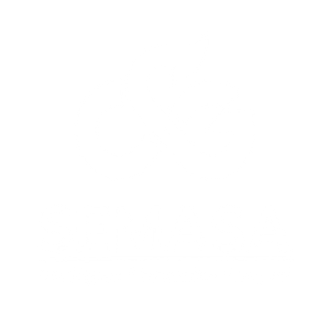 WHITE logo
